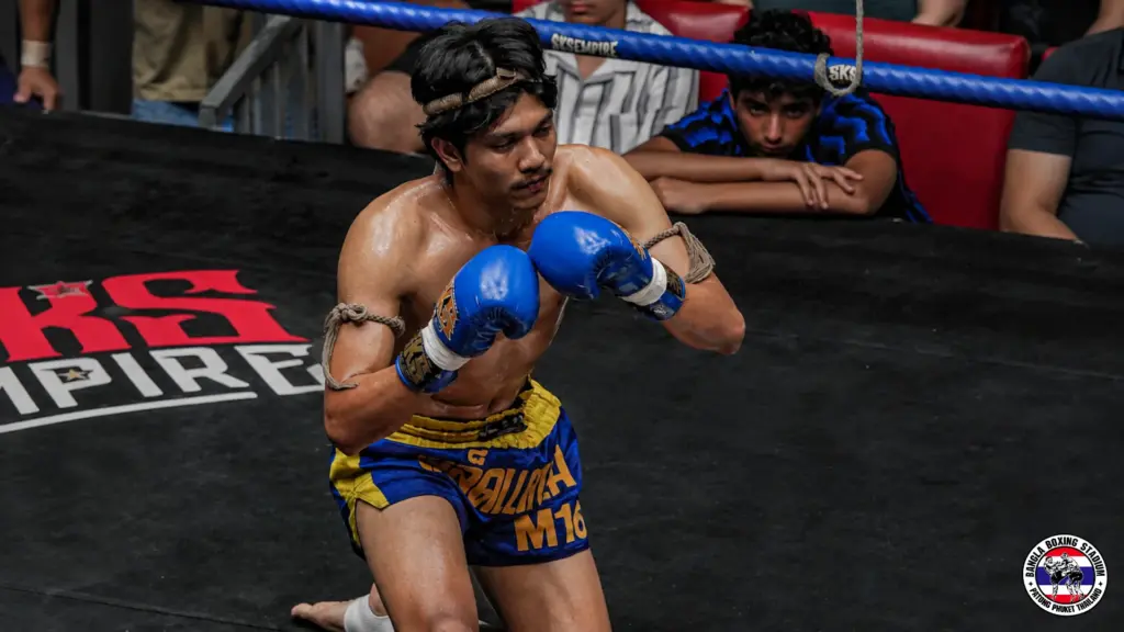 Muay Thai boxer wearing blue gloves kneeling inside a boxing ring during a live show